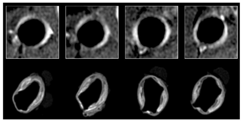 Fig. 5