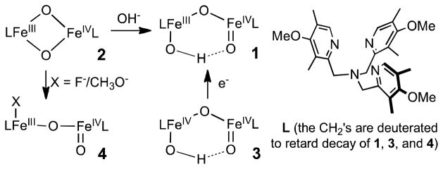 Scheme 1