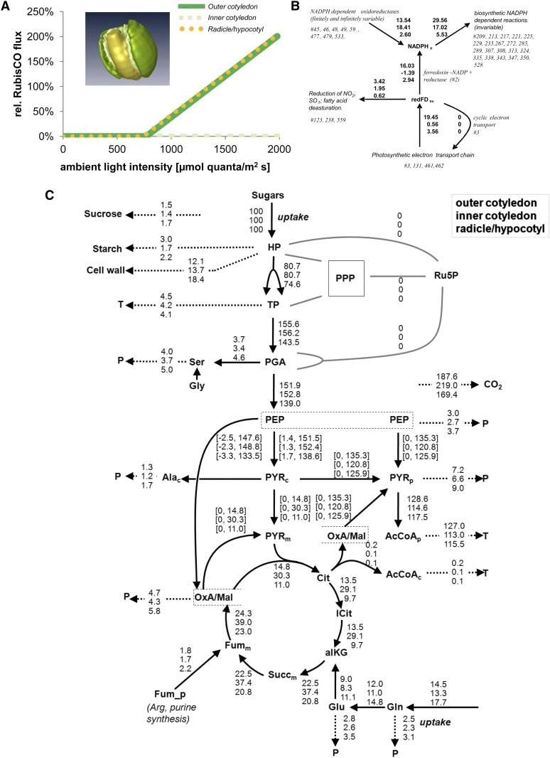 Figure 6.