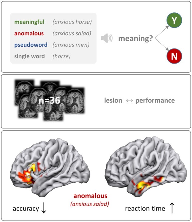 Graphical Abstract