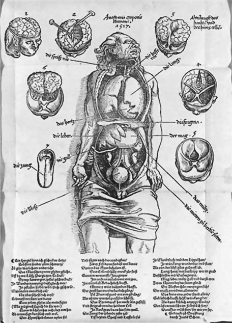 Fig. 12