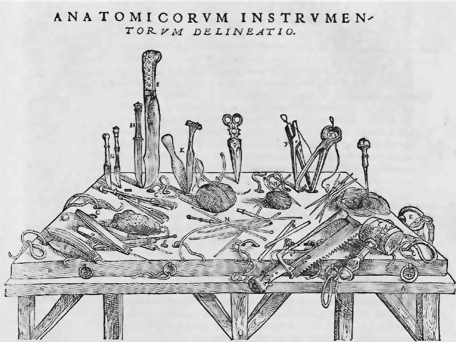 Fig. 14