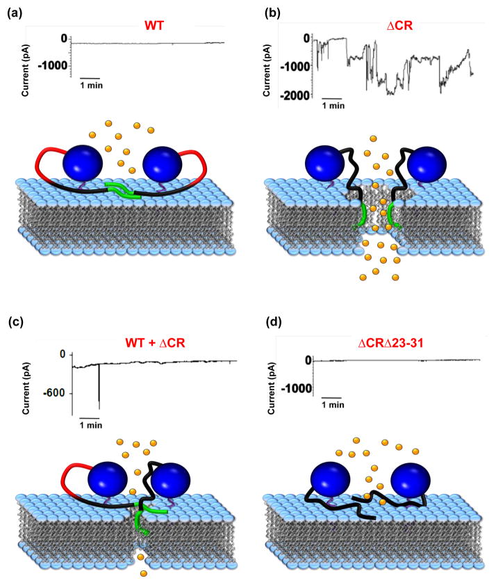 FIGURE 2