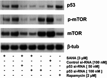 Fig. 7