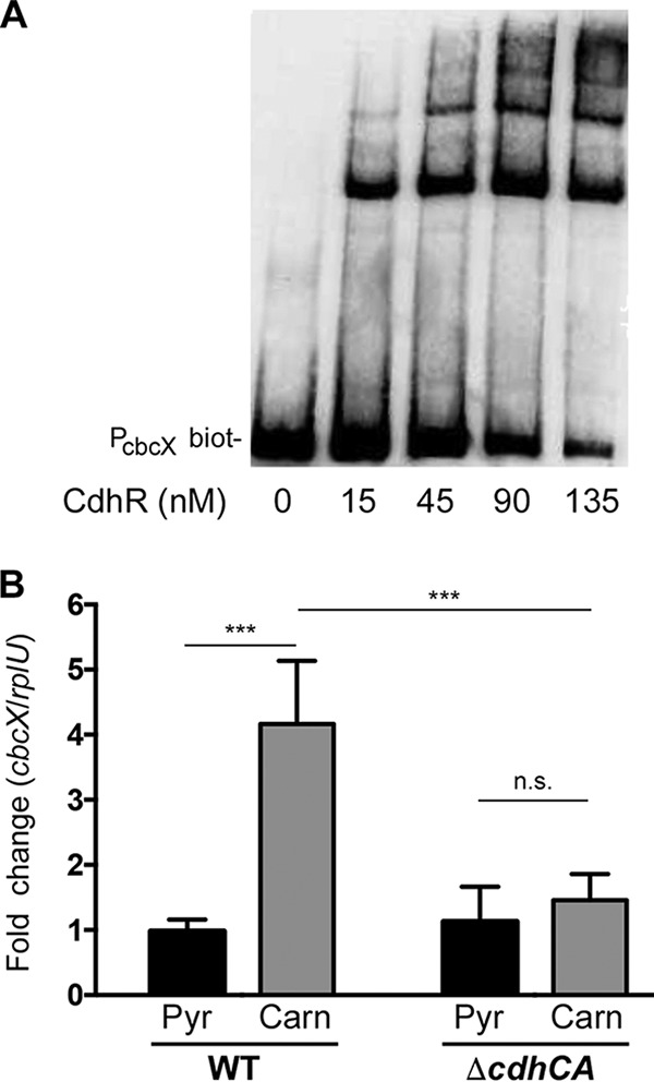 FIG 5 