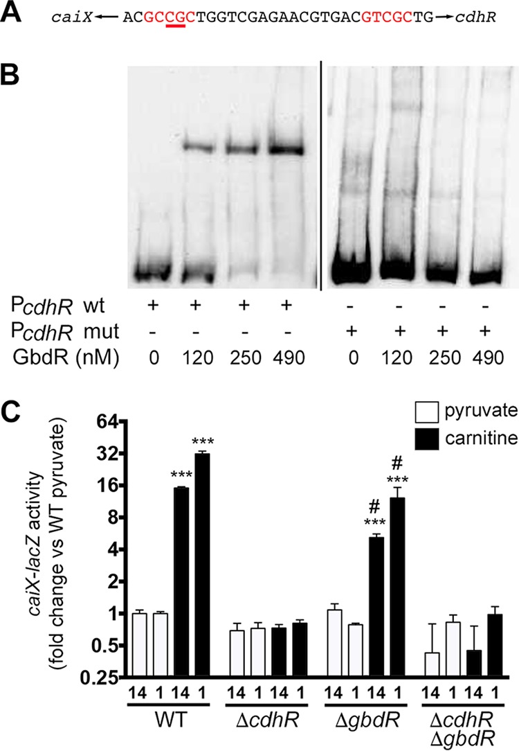 FIG 6 