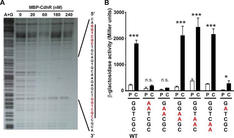 FIG 3 