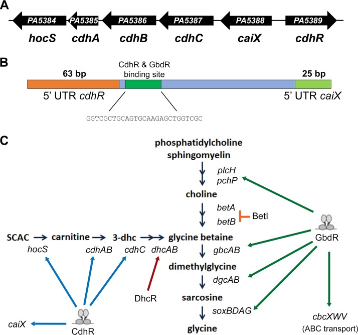 FIG 1 