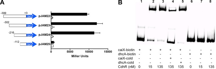 FIG 2 