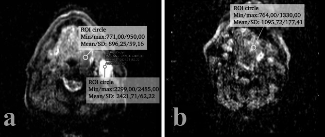 Fig. 6