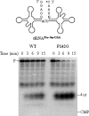 FIGURE 4.