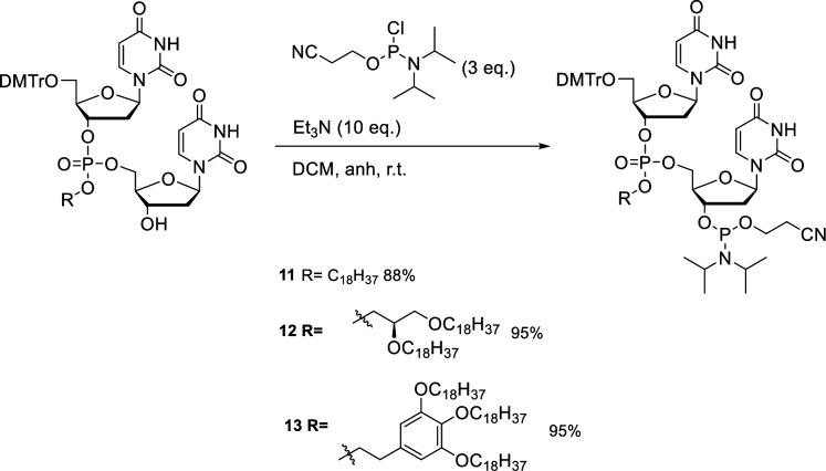 Scheme 2