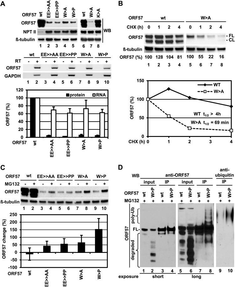 FIG 9