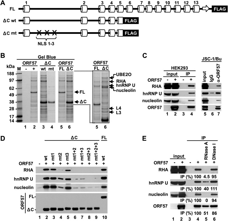 FIG 3