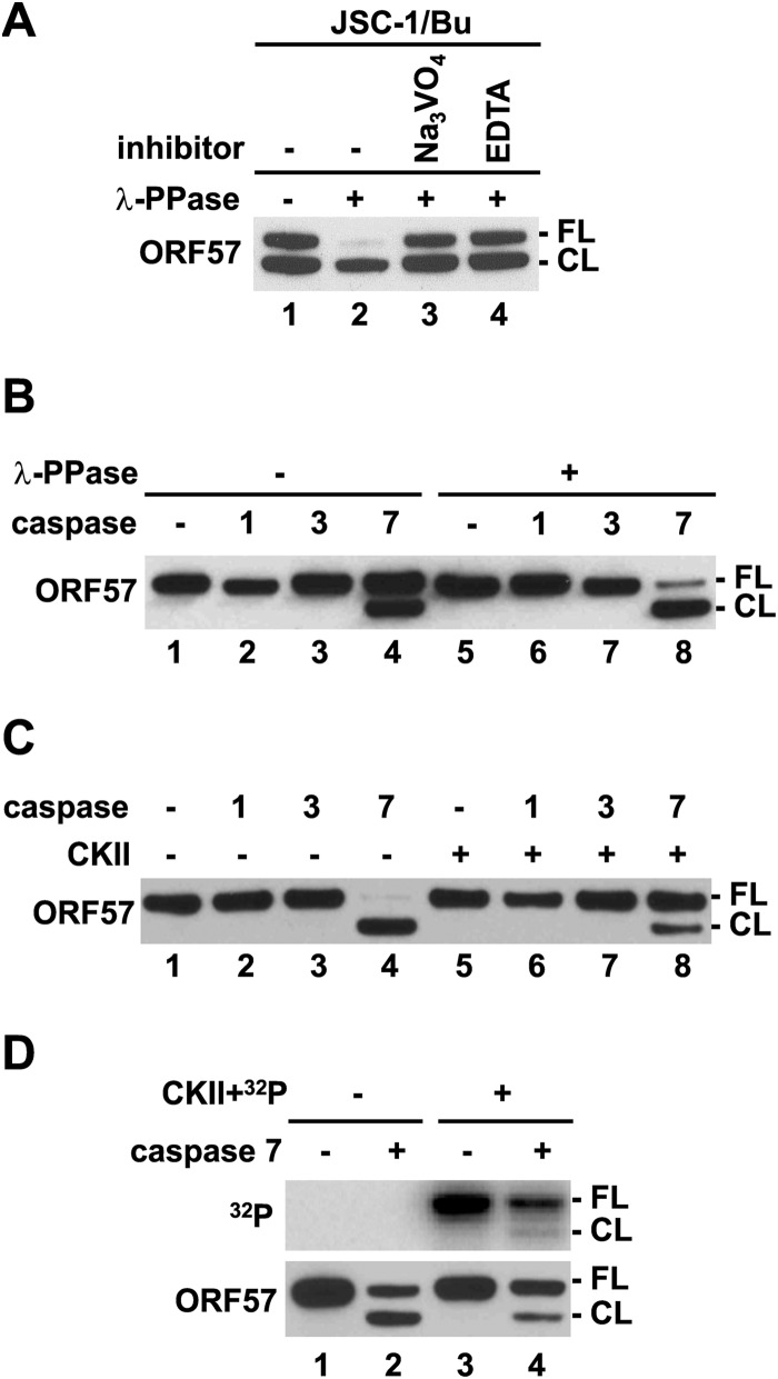 FIG 5