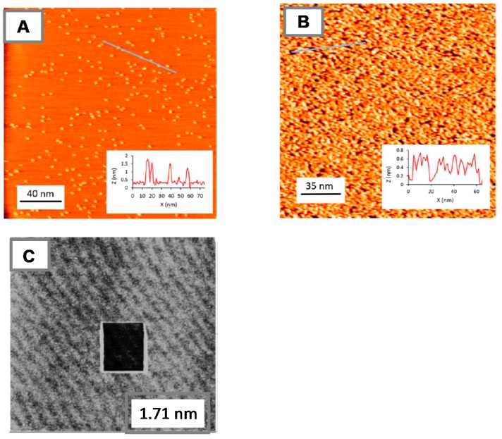 Figure 10