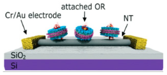 Figure 20