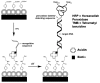 Figure 21