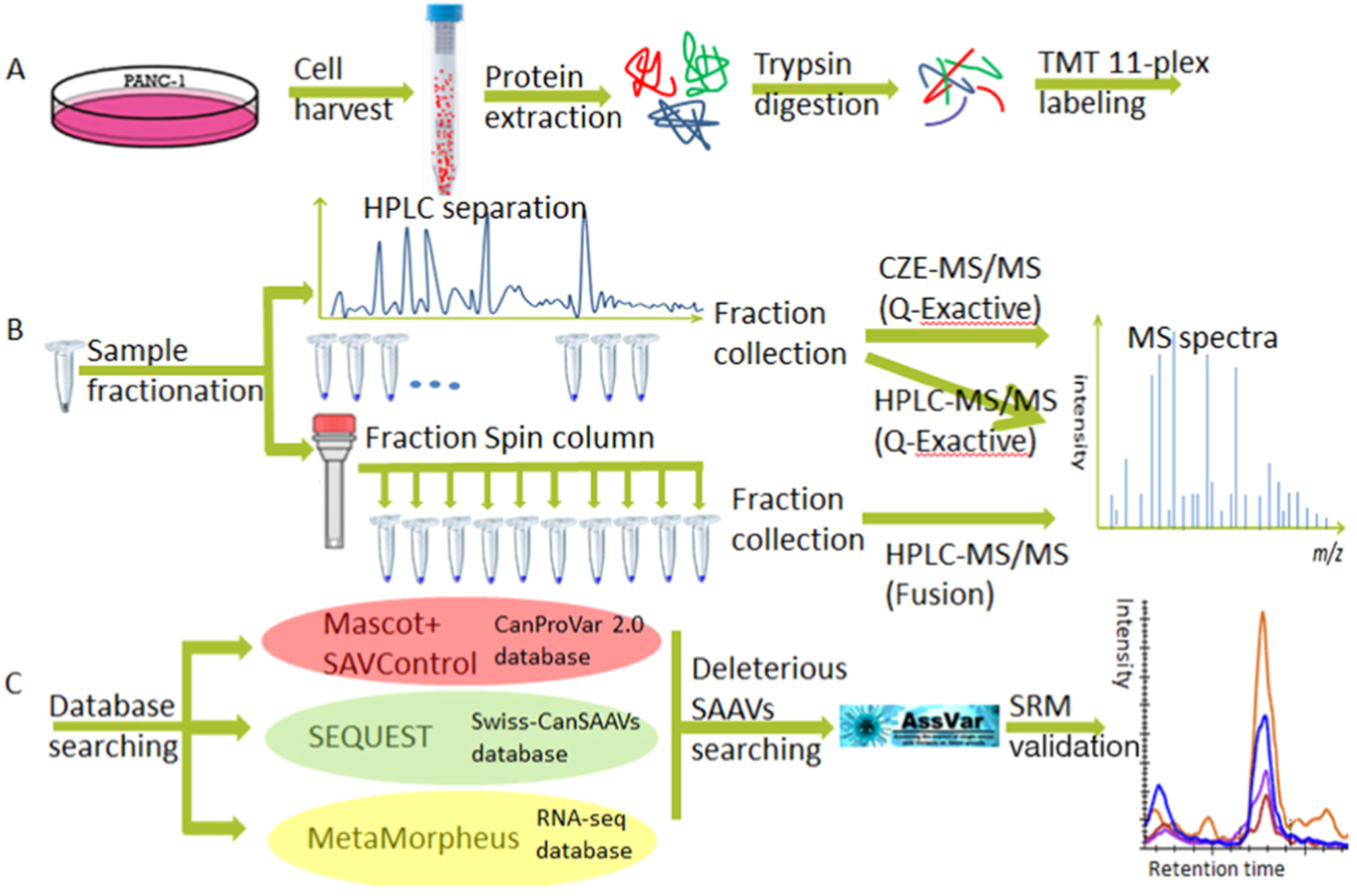 Figure 1.