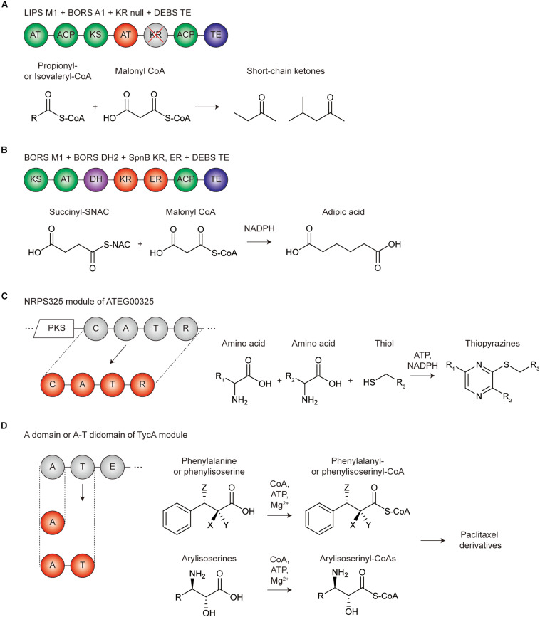 FIGURE 4