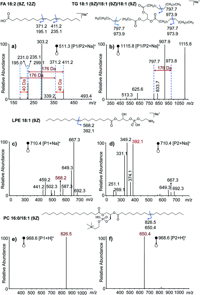 Fig. 2