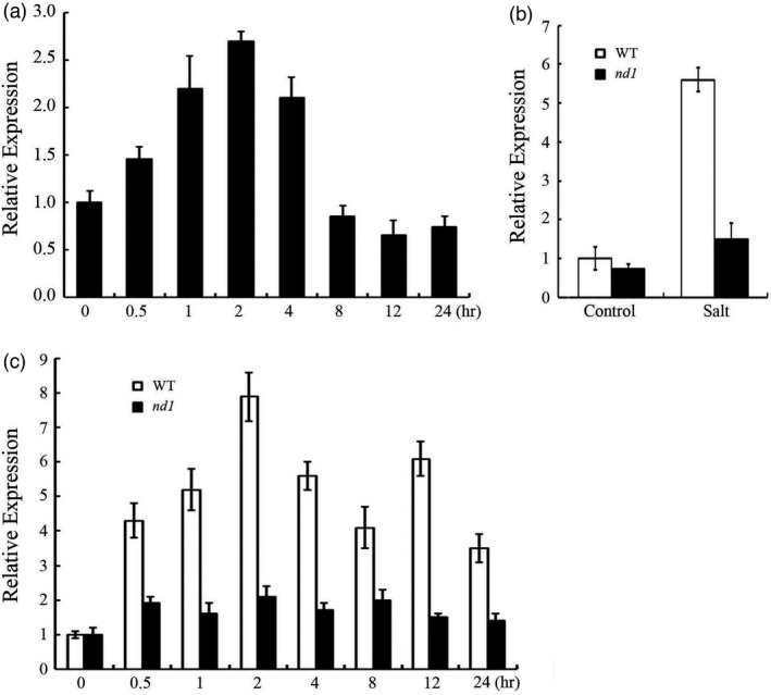 Figure 7