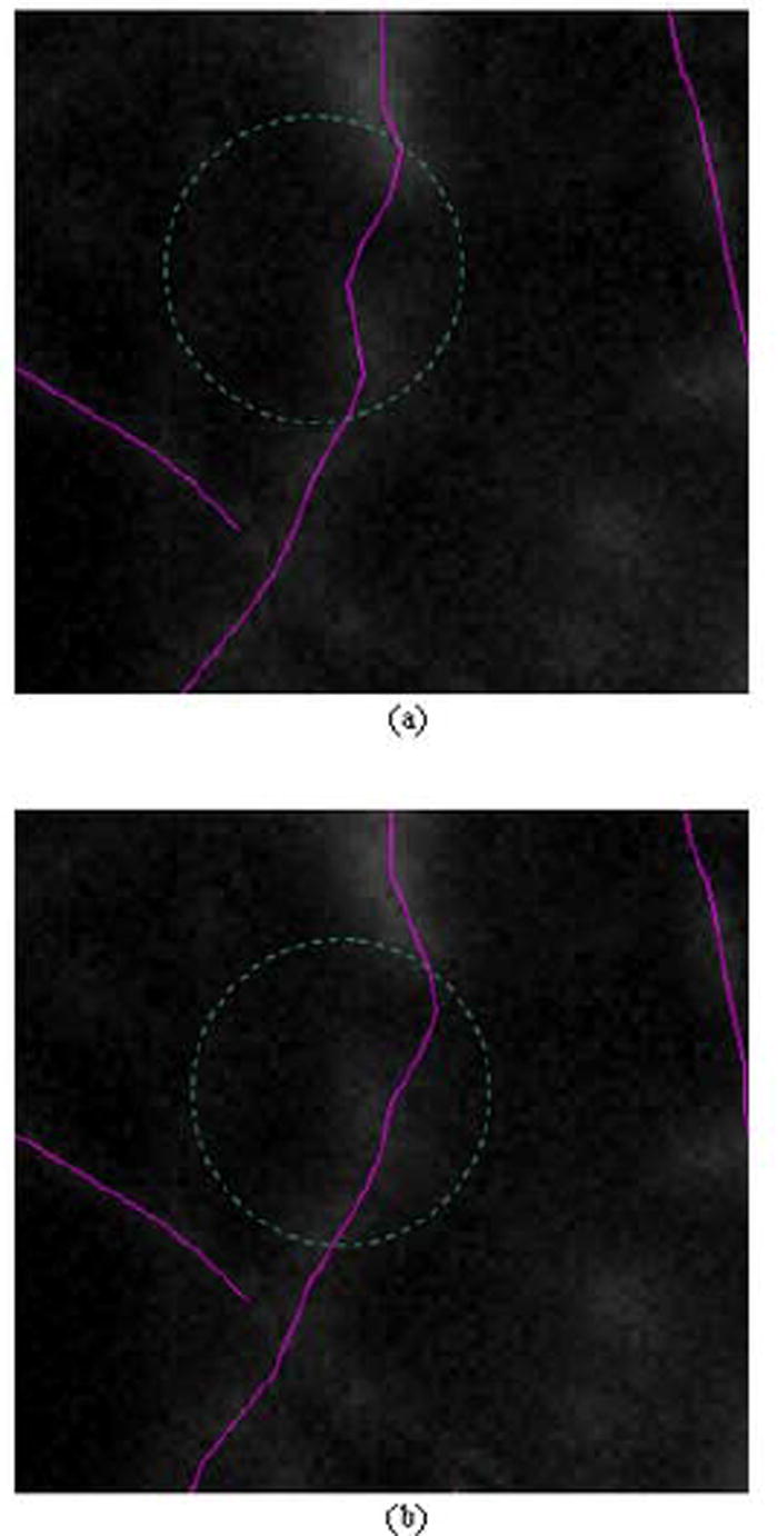Fig. 13