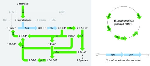 FIG. 1.