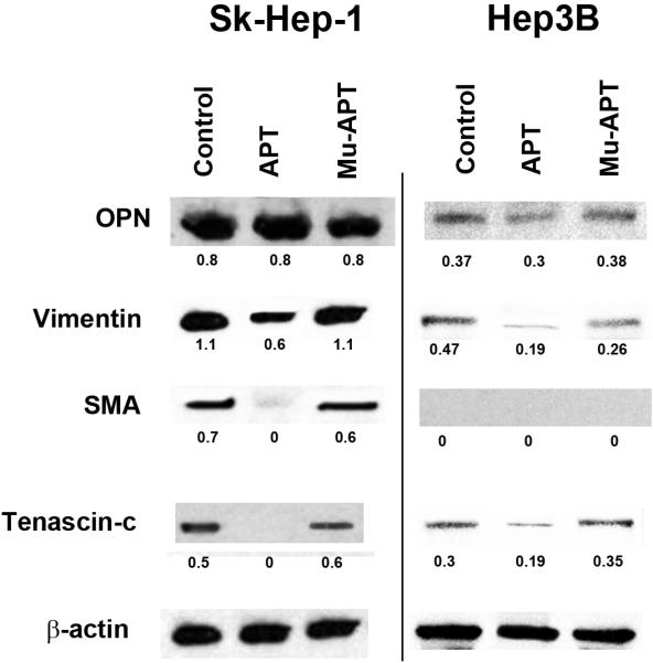 Figure 2c