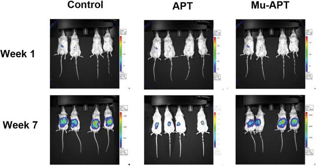 Figure 4b