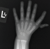 Figure 2b