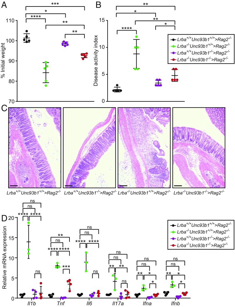 Fig. 6.