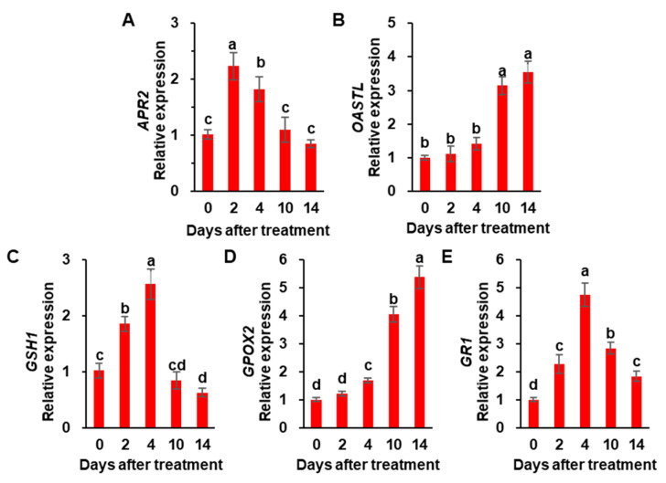 Figure 4