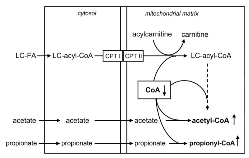 Fig 5