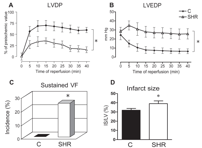 Figure 3)