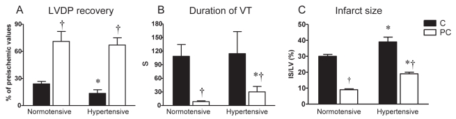 Figure 4)