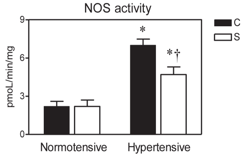 Figure 2)