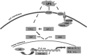 FIG. 2.