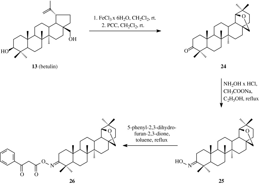 Scheme 5