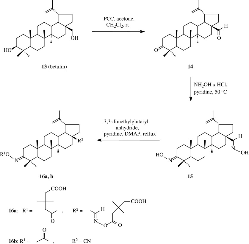 Scheme 2