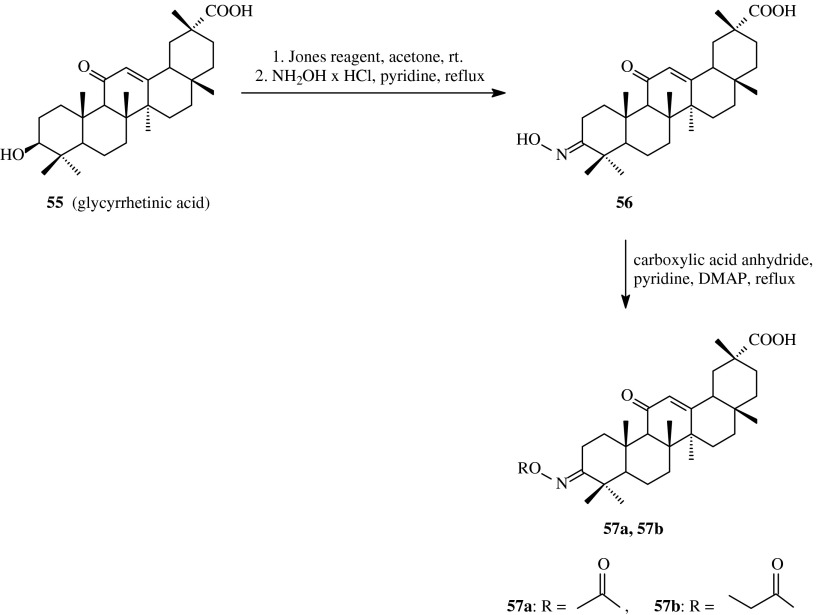 Scheme 14