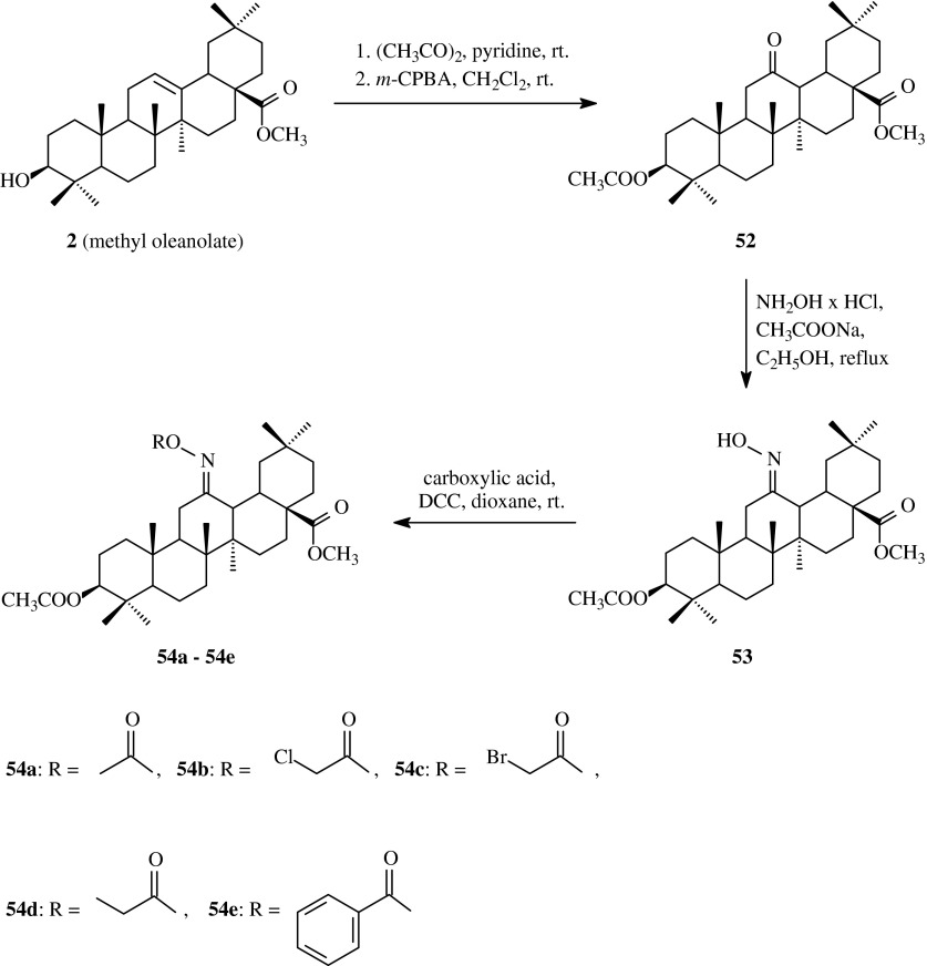 Scheme 13