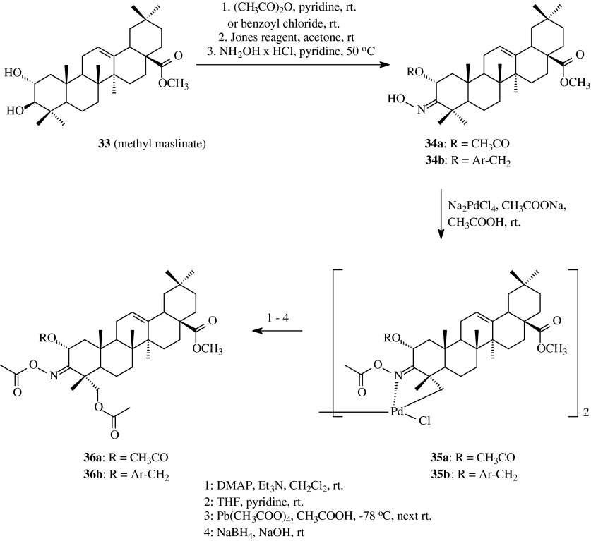 Scheme 8