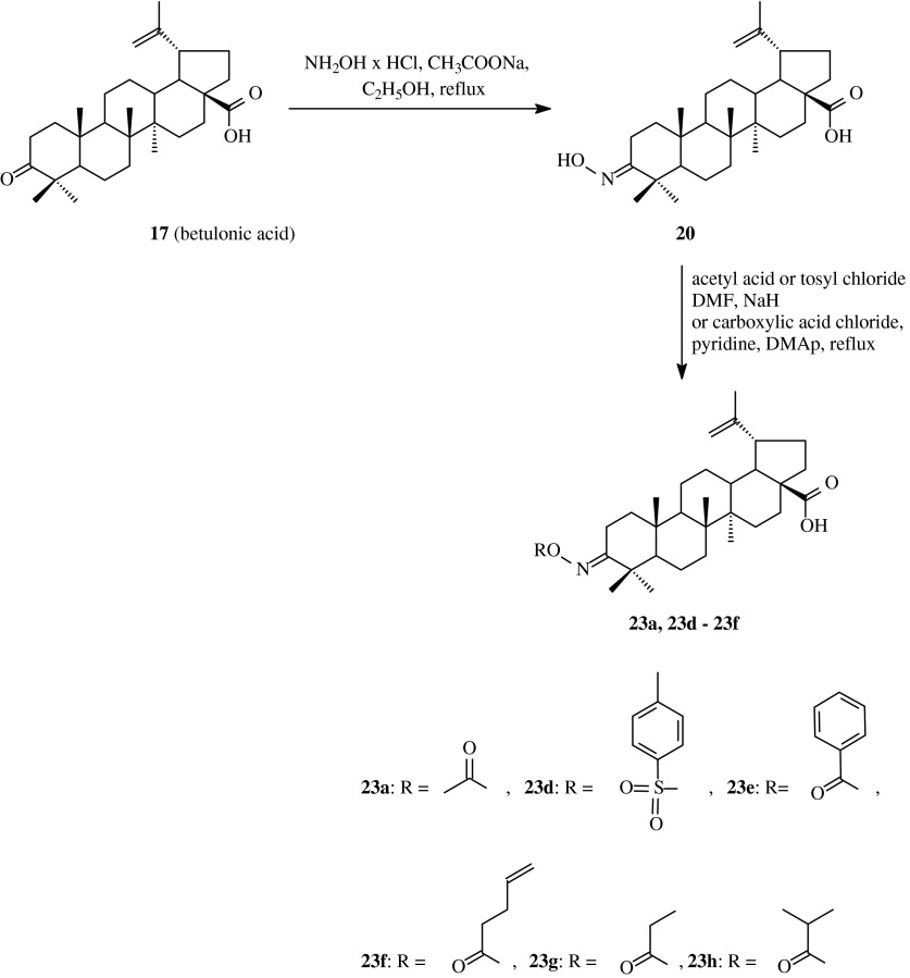 Scheme 4