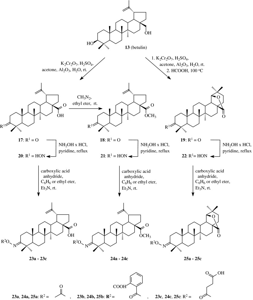 Scheme 3