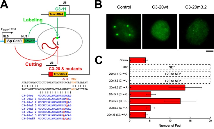 Figure 6.