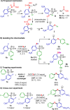 Scheme 4