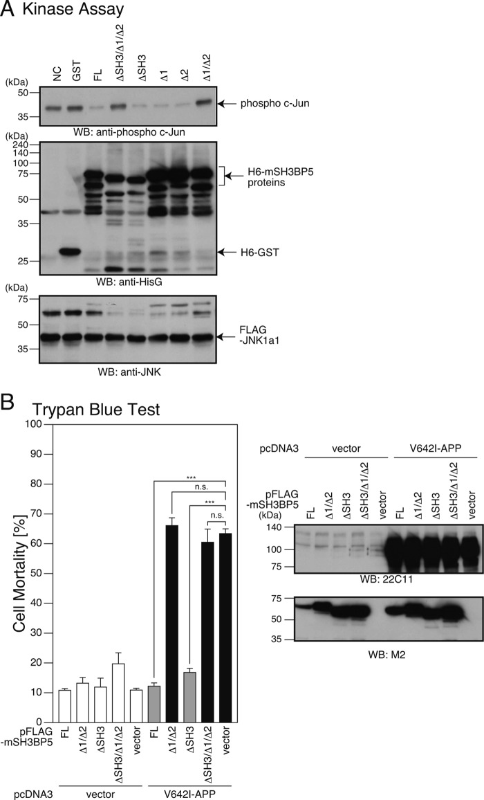 FIGURE 10.