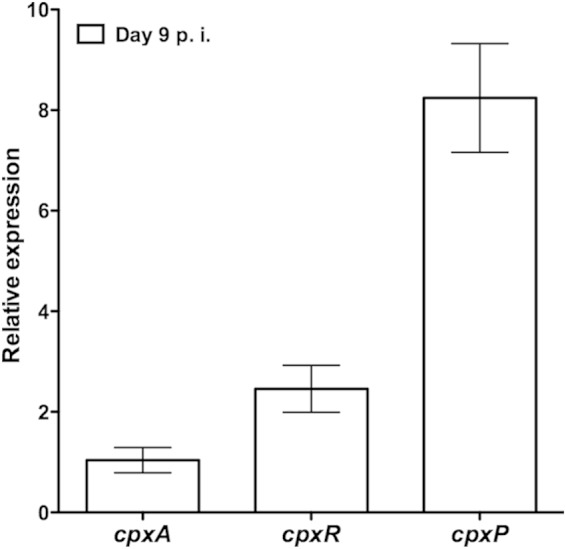 FIG 1