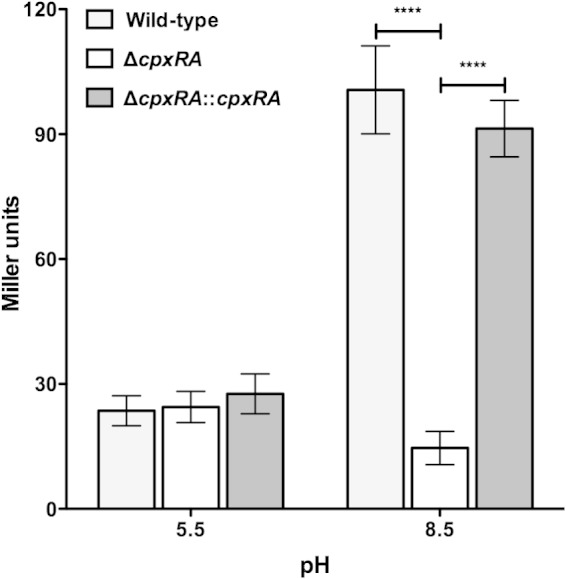 FIG 2